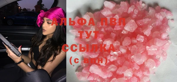 соль ск Инсар
