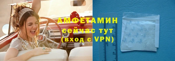 соль ск Инсар