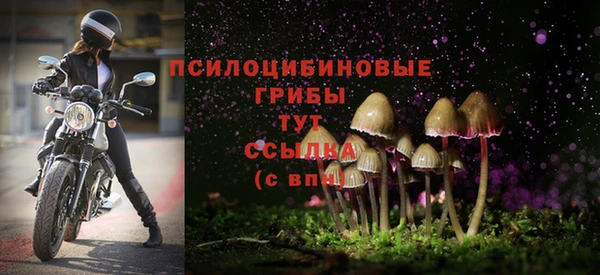 Альфа ПВП Иннополис