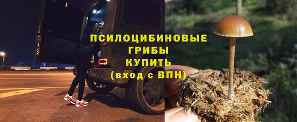 Альфа ПВП Иннополис