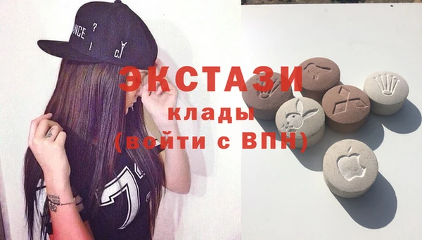 соль ск Инсар