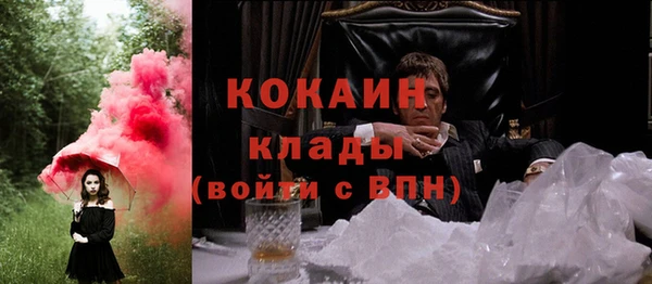 соль ск Инсар