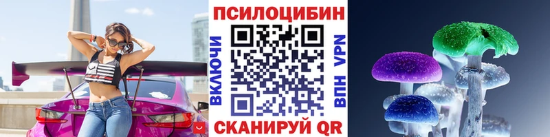 shop наркотические препараты  Славгород  Галлюциногенные грибы Cubensis 