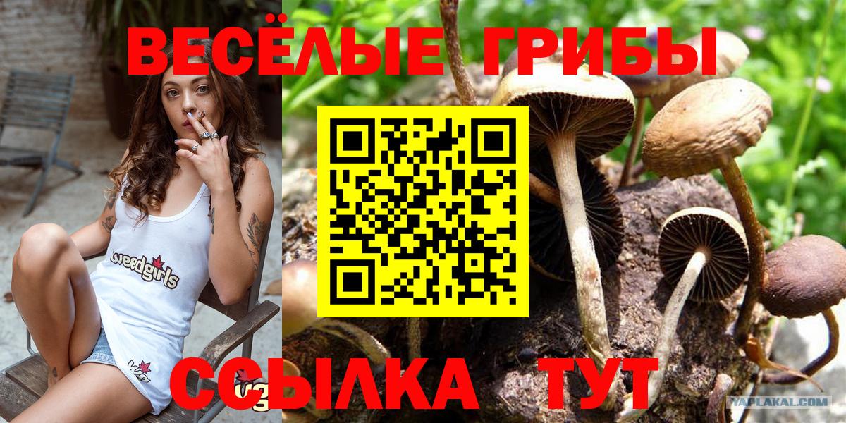 Псилоцибиновые грибы MAGIC MUSHROOMS  Славгород  Галлюциногенные грибы ЛСД 