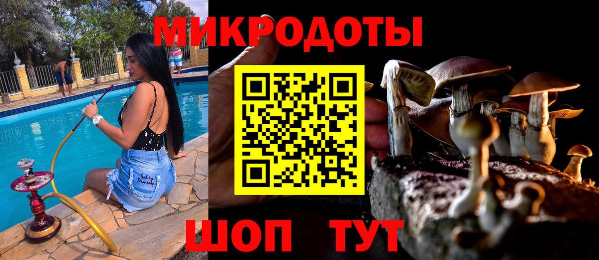 Славгород  Псилоцибиновые грибы Cubensis  Вход с VPN 