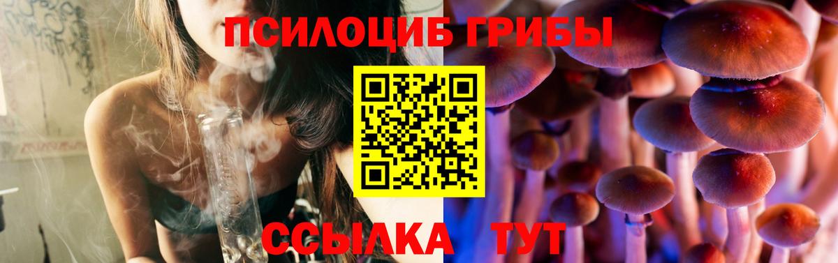 Псилоцибиновые грибы мухоморы Славгород