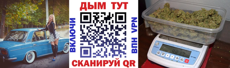 Конопля план  omg рабочий сайт  Славгород  купить закладку 